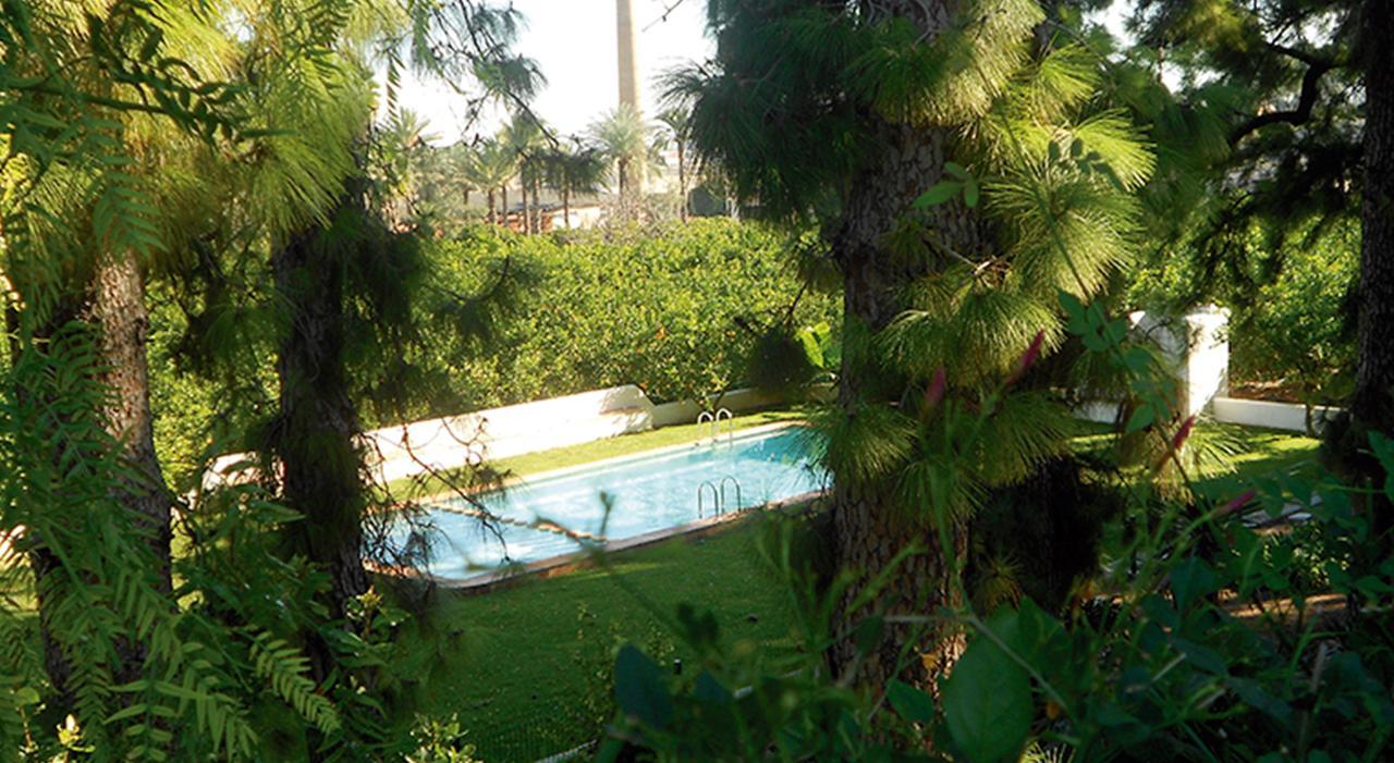 El Sequer Casa Rural Oliva Exteriör bild