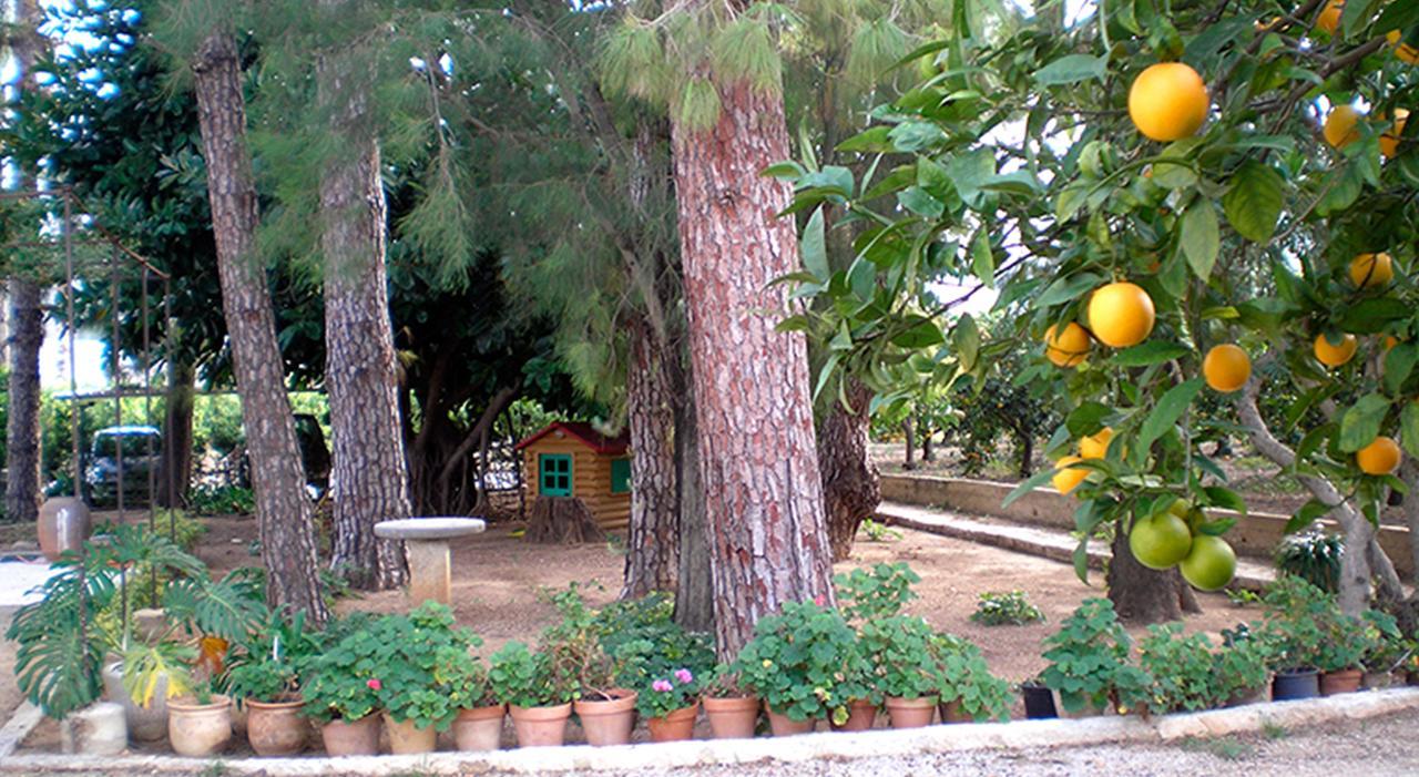 El Sequer Casa Rural Oliva Exteriör bild